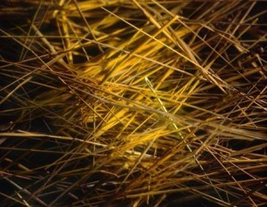 escoladefotografos-curso-de-fotografia